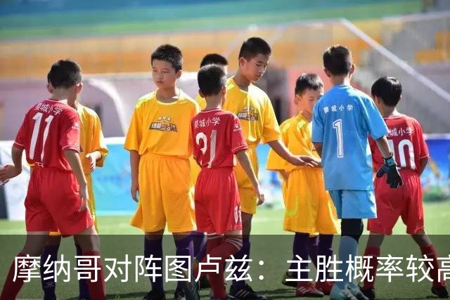 摩纳哥对阵图卢兹：主胜概率较高，但平局不可忽视